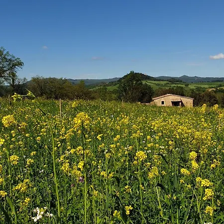 Kaikna Podere Evolutivo Appartement *