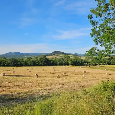 Kaikna Podere Evolutivo Montescudaio